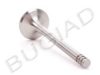 BUGIAD BSP21768 Exhaust Valve